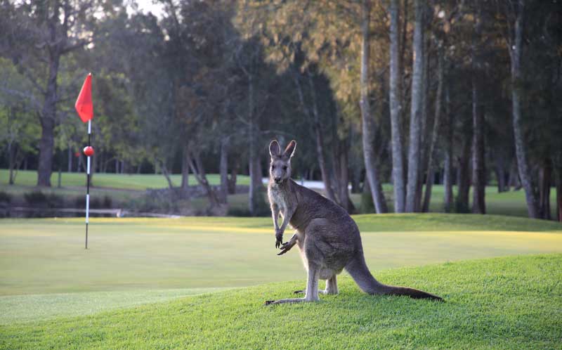 Club Catalina, Batemans Bay